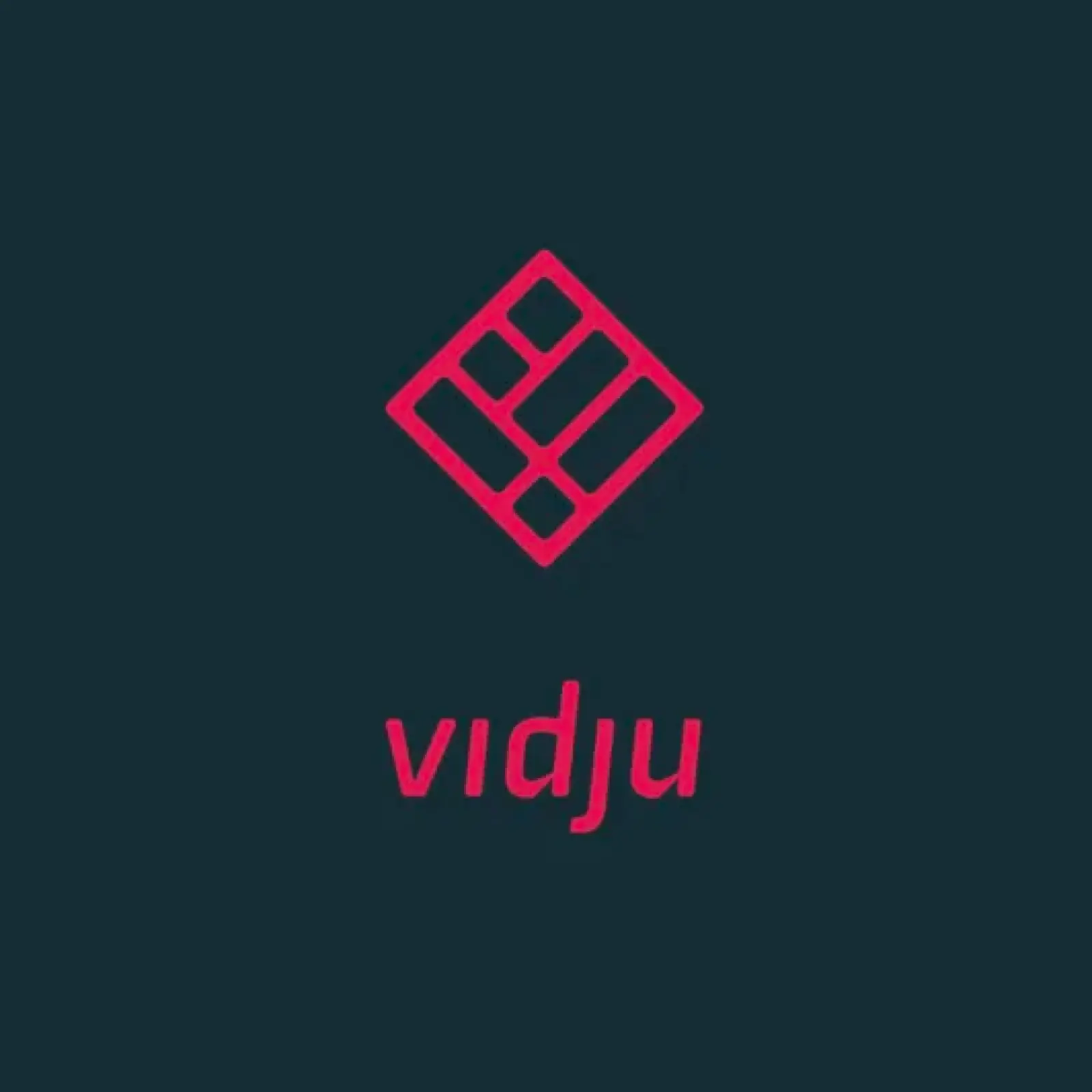 Vidju still2