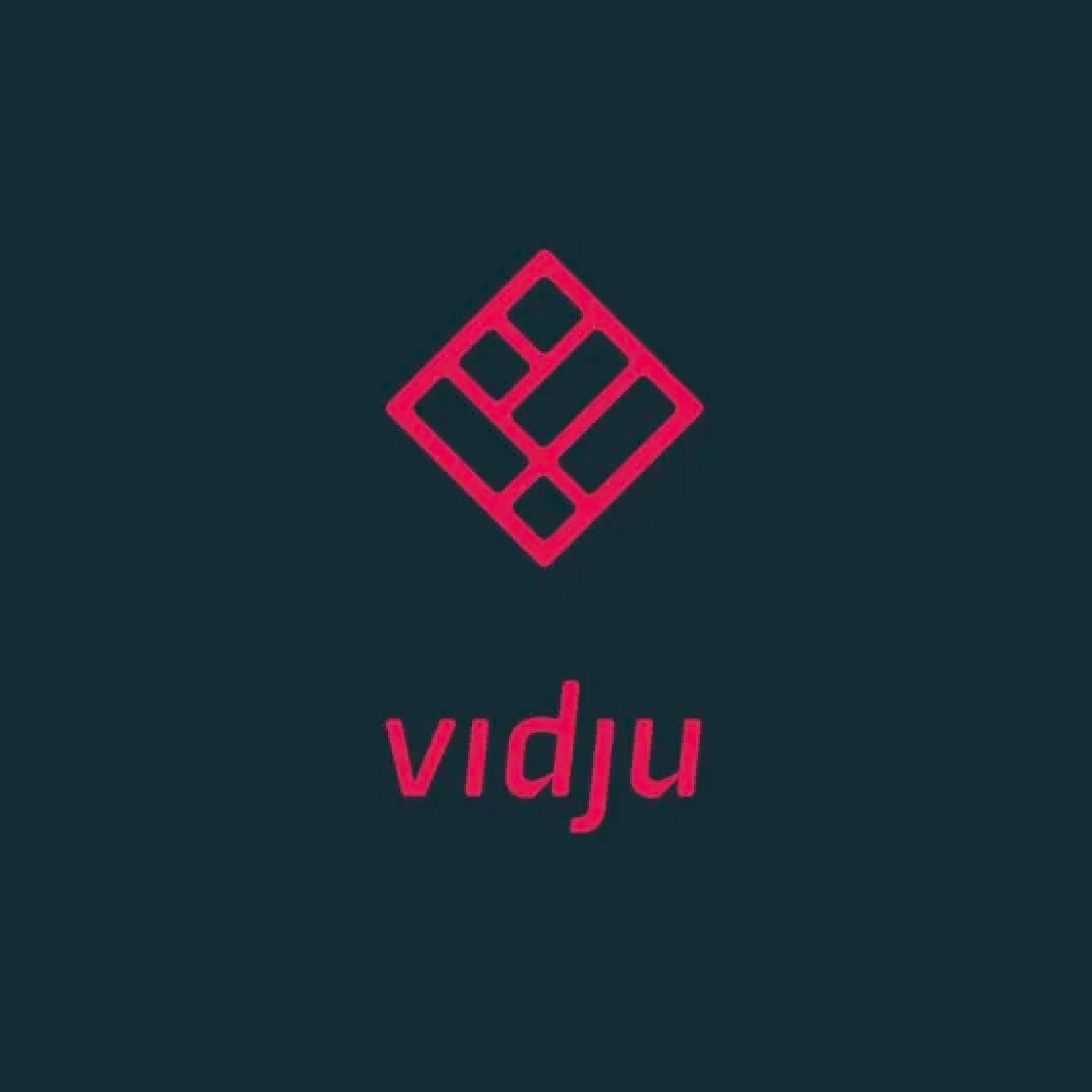 Vidju still2